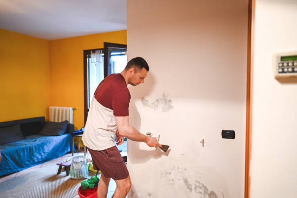 Best Toxic Mold Removal  in Jasper, TX